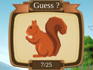 Animal Quiz