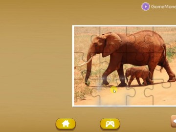 Animals Jigsaw Puzzle Elephants