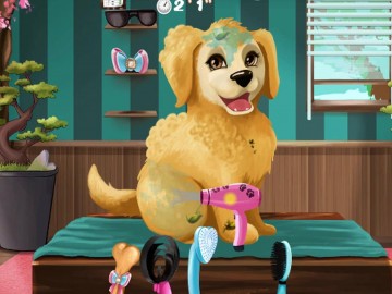Become a Puppy Groomer