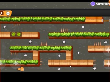 Cat Trap Labyrinth Escape