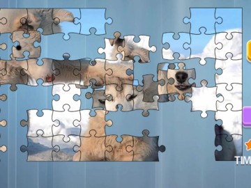 Jigsaw Puzzle Funny Animals