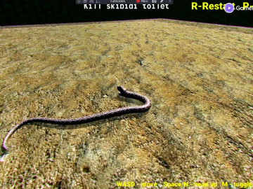 Python Snake Kill Skibidi Toilet Backrooms