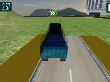 Sea Animal Transport