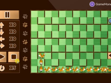 Shiba Rescue Dogs and Puppies